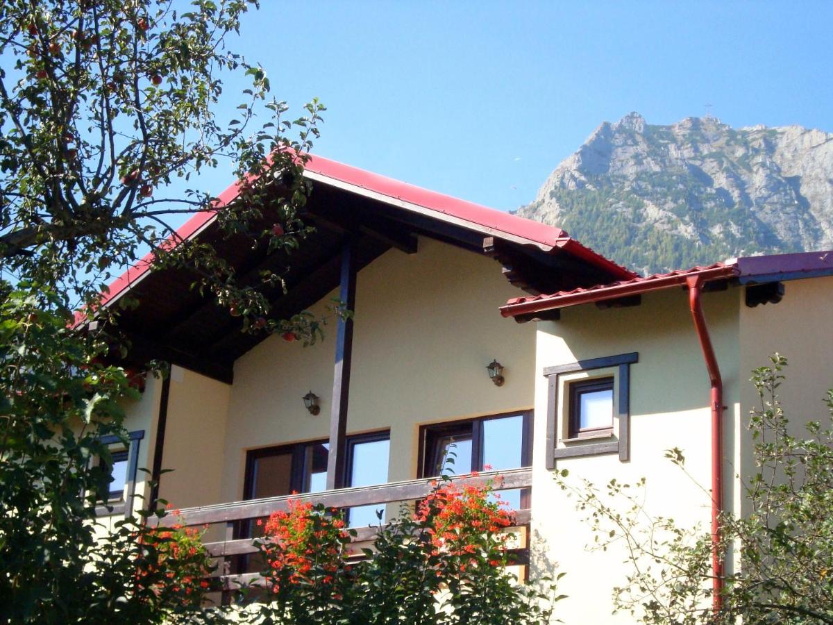 Hotel Casa Cu Flori à Buşteni Extérieur photo