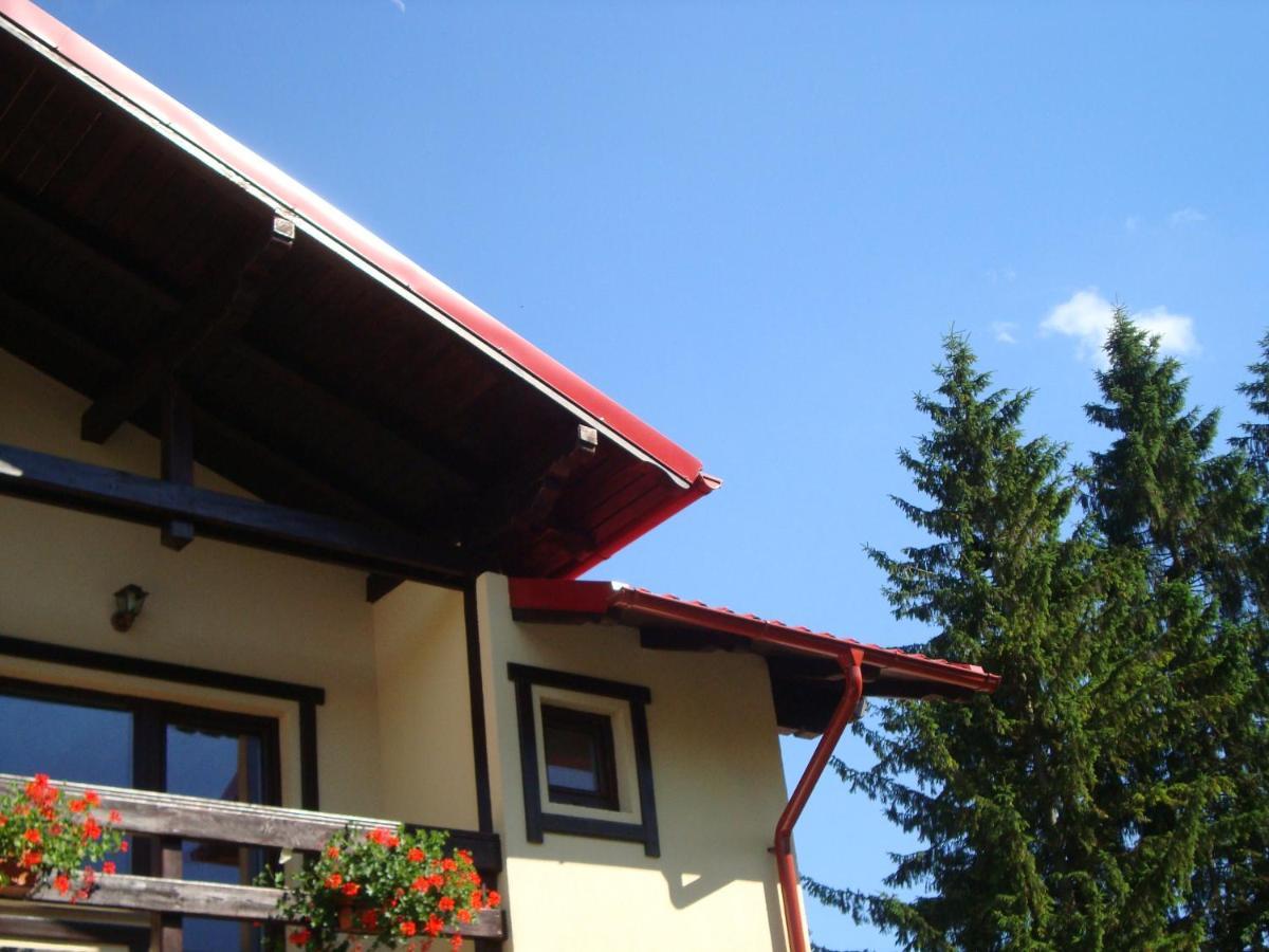 Hotel Casa Cu Flori à Buşteni Extérieur photo