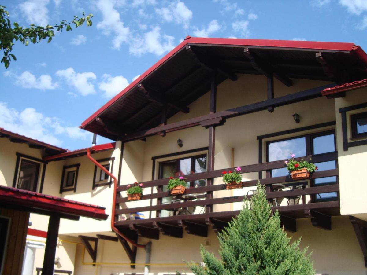 Hotel Casa Cu Flori à Buşteni Extérieur photo