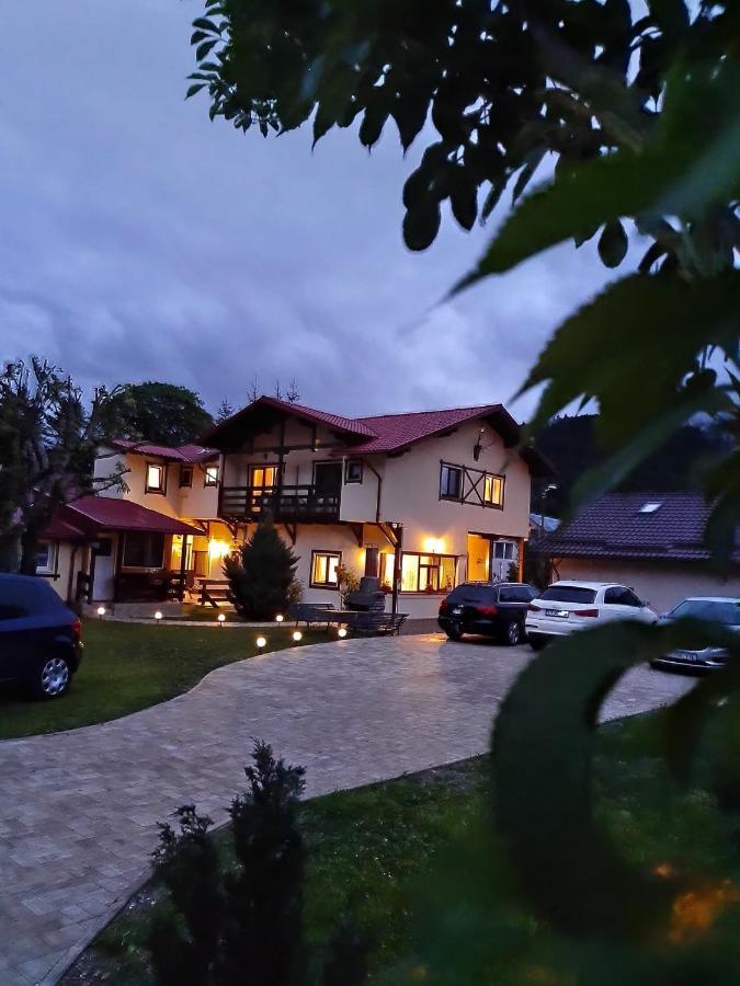 Hotel Casa Cu Flori à Buşteni Extérieur photo