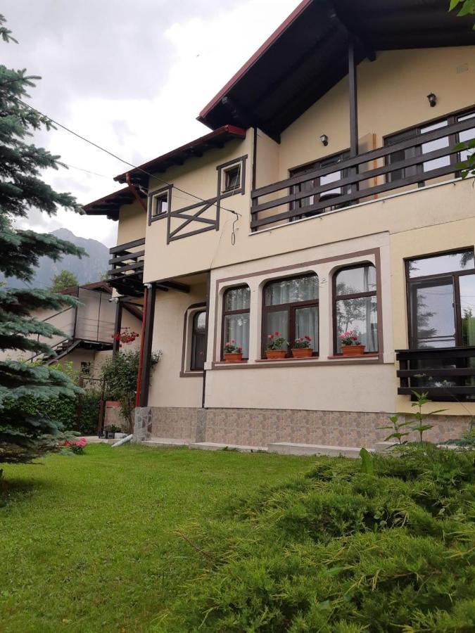 Hotel Casa Cu Flori à Buşteni Extérieur photo