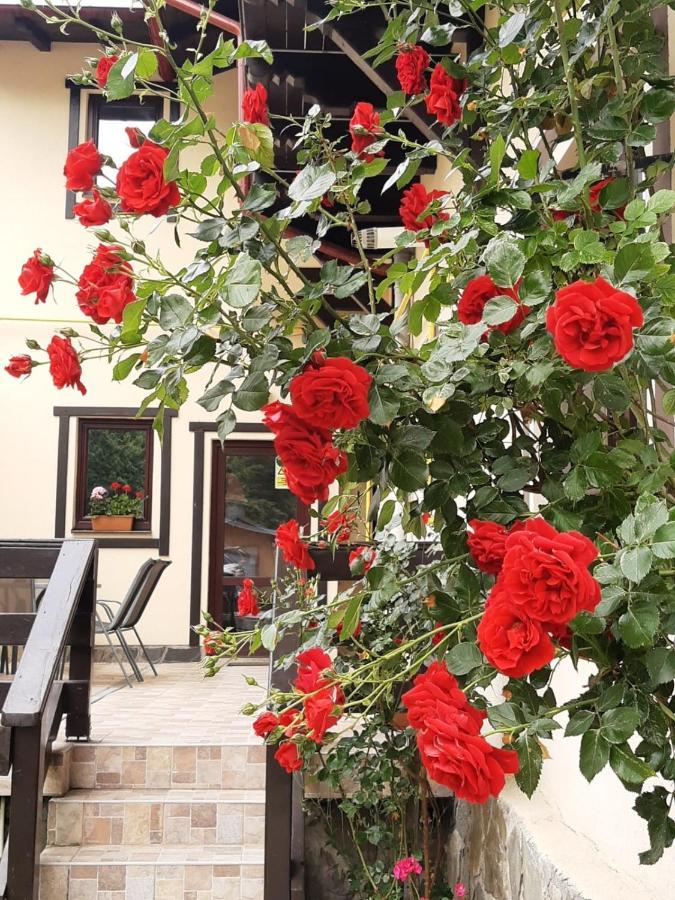 Hotel Casa Cu Flori à Buşteni Extérieur photo