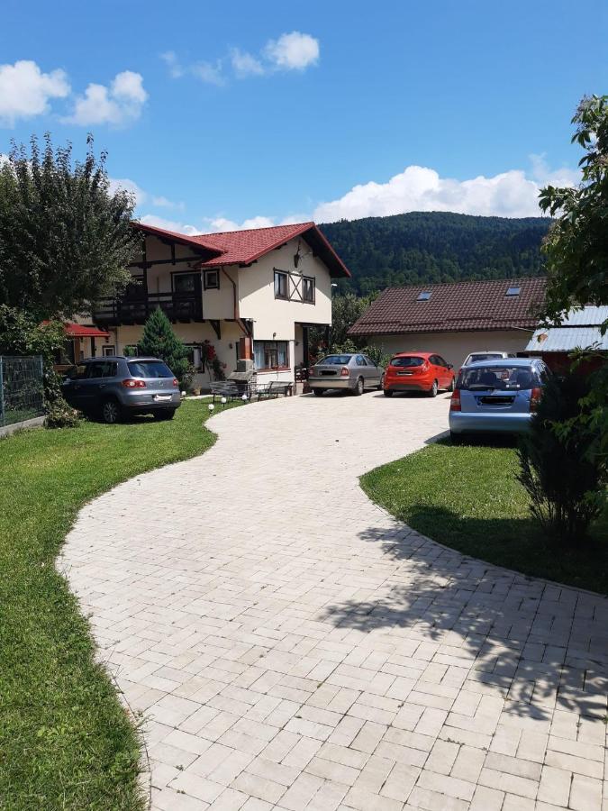 Hotel Casa Cu Flori à Buşteni Extérieur photo