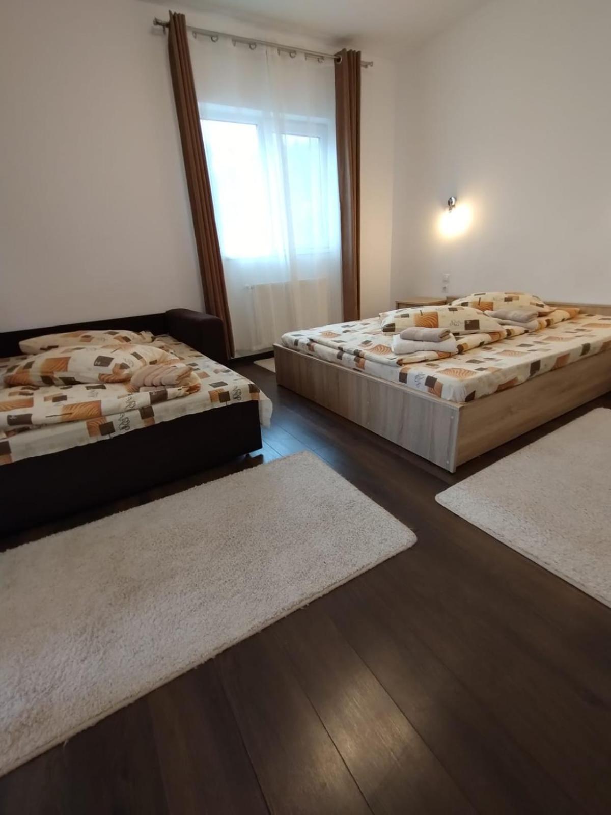 Hotel Casa Cu Flori à Buşteni Extérieur photo