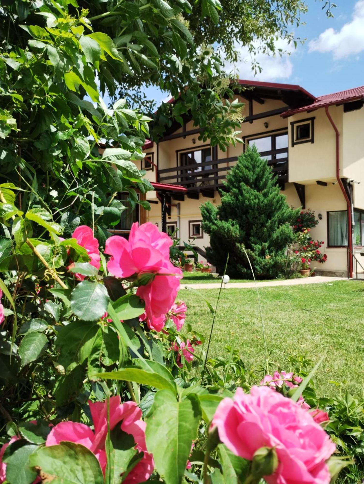 Hotel Casa Cu Flori à Buşteni Extérieur photo